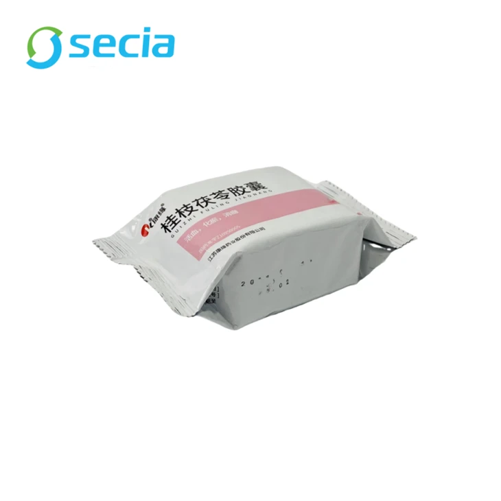 Secia Medicine Pillow Bag
